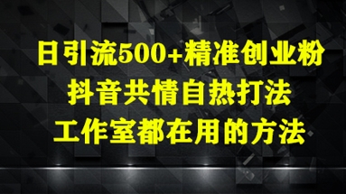 日引流500+精准创业粉，抖音共情自热打法，工作室都在用的方法-网创前栈