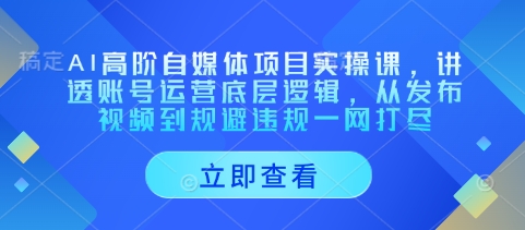 AI高阶自媒体项目实操课，讲透账号运营底层逻辑，从发布视频到规避违规一网打尽-网创前栈