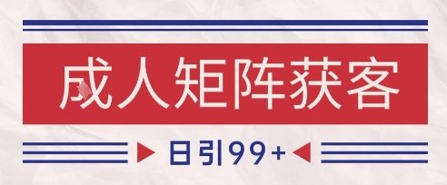 小红书某音橙人赛道引流获客，自热矩阵日引200+【揭秘】-网创前栈