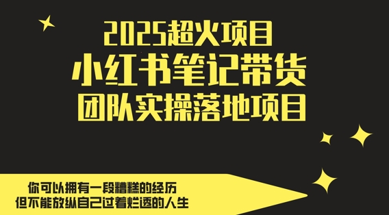 2025超火项目，副业最佳选择，小红书笔记带货团队实操落地项目，，轻松日入5张-网创前栈