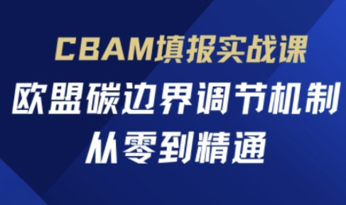 CBAM填报实战课，欧盟碳边界调节机制，从零到精通-网创前栈