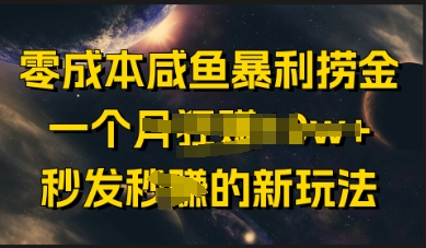 零成本咸鱼暴利捞金，一个月收益过w+，秒发新玩法-网创前栈