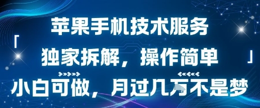 苹果手机技术服务，独家拆解，操作简单，小白可做，月过1W不是梦-网创前栈