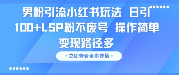 男粉引流小红书玩法，日引100+LSP粉不废号，操作简单，变现路径多-网创前栈