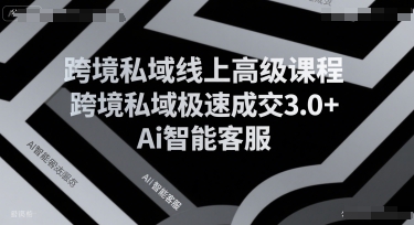 跨境私域线上高级课程，跨境私域极速成交3.0+Ai智能客服-网创前栈
