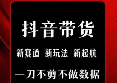 抖音短视频一刀不剪带货，不剪辑，不直播，每天发个视频，等着出单获取带货佣金-网创前栈