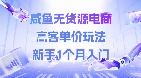 咸鱼无货源电商，高客单价玩法，新手1个月入门-网创前栈