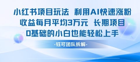 适合小白操作的小红书新项目，利用AI快速涨粉，收益每月平均1W+-网创前栈