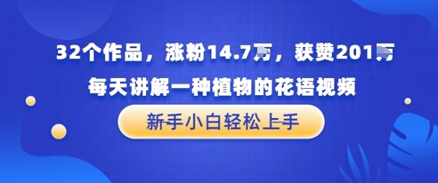 32个作品，涨粉14.7W，获赞201W，每天讲解一种植物的花语视频，无需任何技巧，新手小白轻松上手-网创前栈
