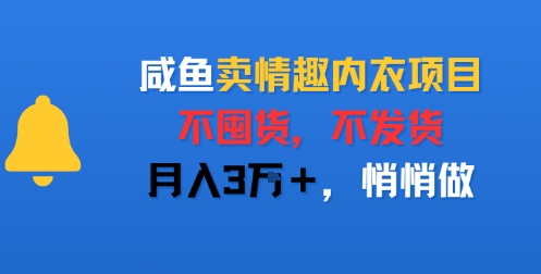 咸鱼卖情趣内衣项目，不囤货，不发货，月入3W+，悄悄做-网创前栈