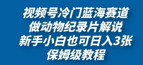 视频号冷门蓝海赛道，做动物纪录片解说，新手小白也日入3张，保姆级教程-网创前栈