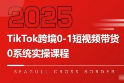 TikTok跨境0-1短视频带货，系统拆解TikTok跨境带货全链路，实现跨境可持续盈利-网创前栈