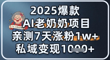 2025爆款 AI 老奶奶项目：亲测 7 天涨粉 1W+，私域变现 1k+-网创前栈