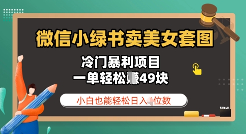 微信小绿书卖美女套图，冷门暴利项目，一单轻松挣49块，小白也能轻松日入3位数-网创前栈