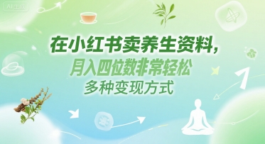 在小红书卖养生资料，月入四位数非常轻松，多种变现方式-网创前栈