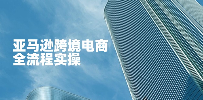 （14252期）亚马逊跨境电商全流程实操，教你从零开始，掌握店铺运营与广告技巧-网创前栈