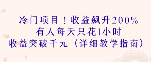 冷门项目！收益飙升200% 有人每天只花1小时 收益突破1k(详细教学指南)-网创前栈