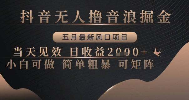 抖音无人撸音浪掘金，五月最新风口项目，当天见效，日收益多张，小白可做简单粗暴可矩阵【揭秘】-网创前栈