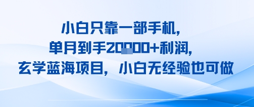 小白只靠一部手机，单月到手2W+利润，玄学蓝海项目，小白无经验也可做-网创前栈