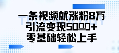 一条视频就涨粉8W引流变现5k+，0基础项目轻松上手-网创前栈