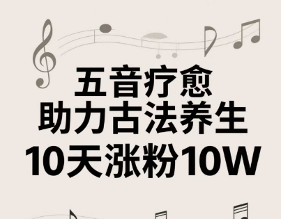 古法五音养生教程，五音疗愈的视频的制作方法，2-4小时就能学会，作者10天涨粉10W-网创前栈