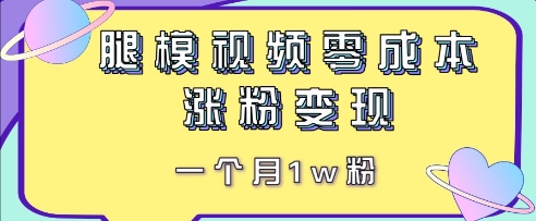 腿模视频，零成本涨粉变现，一个月1w粉-网创前栈
