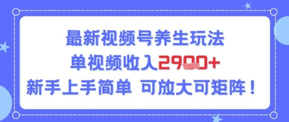 视频号养生玩法，单视频收入2.9k，新手上手简单-网创前栈