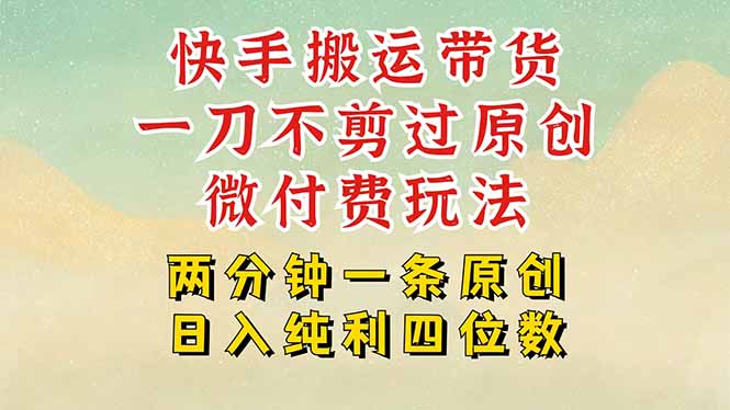 （15577期）快手黑科技搬运带货，一刀不剪过原创，微付费投流玩法，轻松日入四位数…-网创前栈