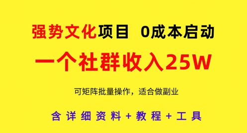 强势文化项目，一个社群收入25个W，0成本启动，可矩阵批量操作，原创详细实操教程-网创前栈