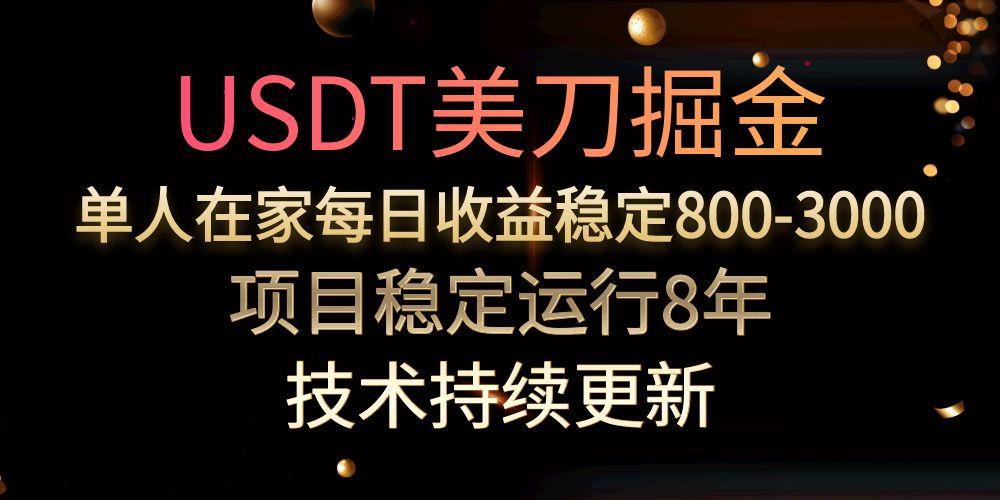（15527期）USDT美刀掘金，单人每日收益800-3000，稳定运行8年-网创前栈