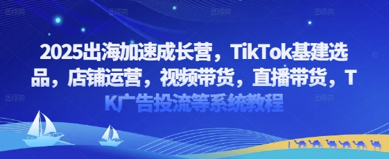 2025出海加速成长营，TikTok基建选品，店铺运营，视频带货，直播带货，TK广告投流等系统教程-网创前栈