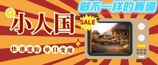DeepSeek+绘图+视频制作小人国微观视频，小白轻轻松松上手，条条爆款，条条变现，单日就能收益-网创前栈