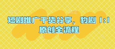 短剧推广干货分享，豹剧 1:1原创全流程-网创前栈