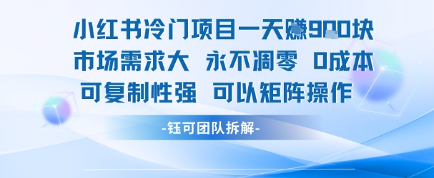 小红书冷门项目一天收益9张，市场需求大，0成本，可复制性强可以矩阵操作-网创前栈
