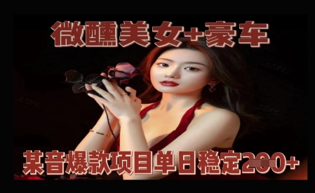微醺美女+豪车，抖音爆款项目单日稳定2张+-网创前栈