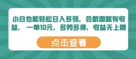 小白也能轻松日入多张，会截图就有收益， 一单10元，多劳多得，收益无上限-网创前栈