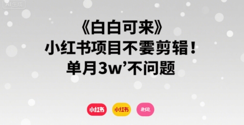 小白可来 小红书项目不需要剪辑 单月3w不是问题-网创前栈