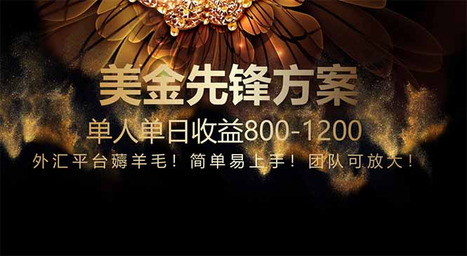 （14761期）免费技术！小众赛道！一年布局抵三年努力，每日800+-网创前栈