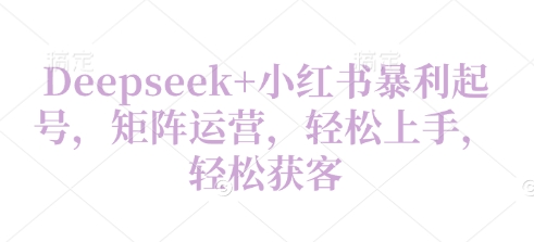 Deepseek+小红书暴利起号，矩阵运营，轻松上手，轻松获客-网创前栈