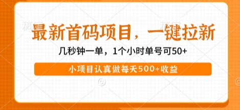 最新首码项目，操作最简单，收益高，一键拉新，1个小时单号可50+，小项目认真做每天5张+收益【揭秘】-网创前栈