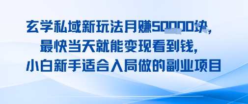 玄学私域新玩法月入1W+，最快当天就能变现看到米，小白新手适合入局做的副业项目-网创前栈