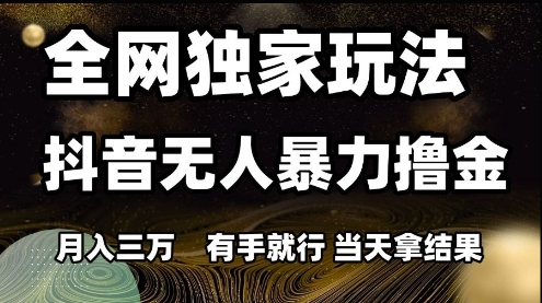 全网独家玩法抖音无人暴力撸金，月入3W，有手就行，当天拿结果【揭秘】-网创前栈