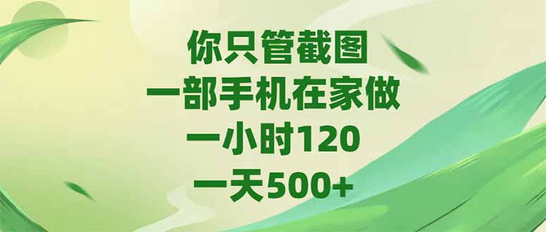（15039期）你只管截图，一部手机在家做，一小时120，-天500+-网创前栈