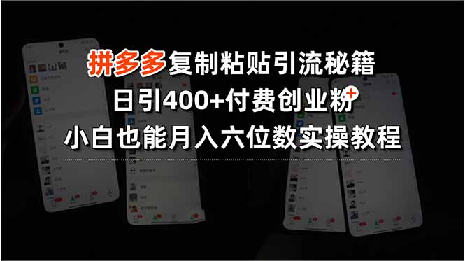 （15613期）拼多多复制粘贴引流秘籍，日引400+付费创业粉，小白也能月入六位数实操…-网创前栈