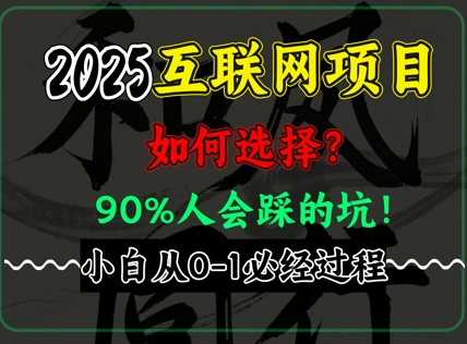 2025年互联网项目搞钱方法论，全是干货，肺腑之言，新手从0-1必经过程，边看边实操-网创前栈