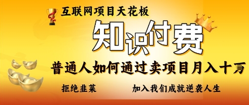 互联网项目天花板，知付付费项目，普通人如何通过卖项目月入十个，拒绝韭菜【揭秘】-网创前栈
