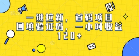 一键拉新，首码项目，回填验证码，一小时收益1张-网创前栈