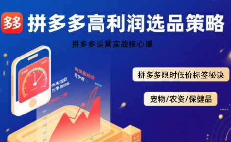 拼多多选品暴利技术实战课，拼多多高利润选品策略，拼多多限时低价标签秘诀-网创前栈
