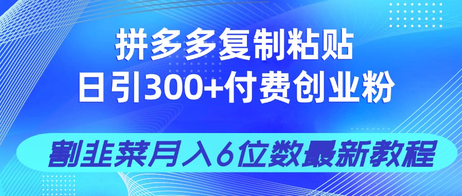（14232期）拼多多复制粘贴日引300+付费创业粉，割韭菜月入6位数最新教程！-网创前栈