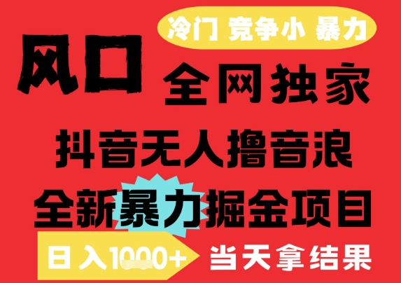 25年6月高爆抖音无人直播最新撸音浪掘金项目，解放双手小白可做，无脑日入1k+，门槛低【揭秘】-网创前栈